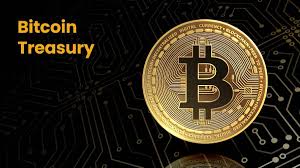 What Is a Bitcoin Treasury Strategy?